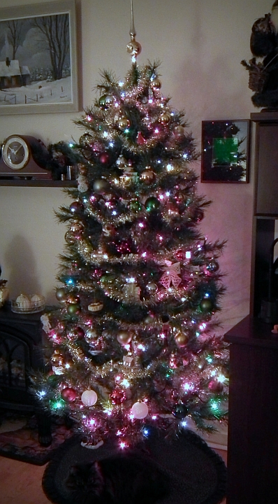 Our family Christmas tree of 2012, just waiting -- not for gifts, but for the arrival of daughters, and grandson, and people we haven't see for a very long time.